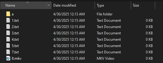 Anubis directory after wiper
