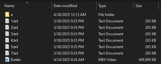 Anubis directory before wiper