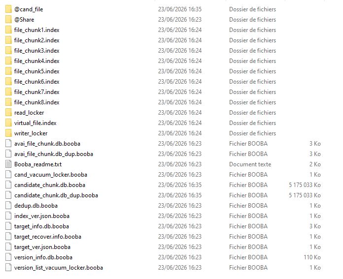 fichiers chiffrés ransomware booba